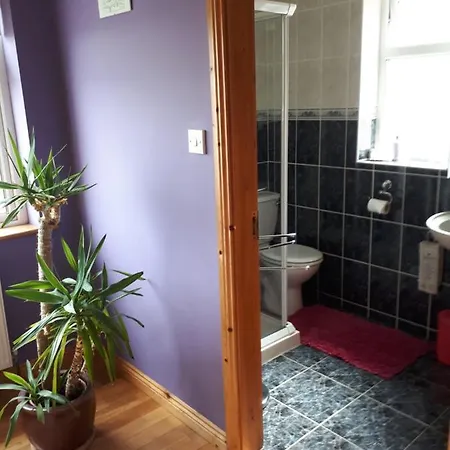 Tullaleagan Oughterard