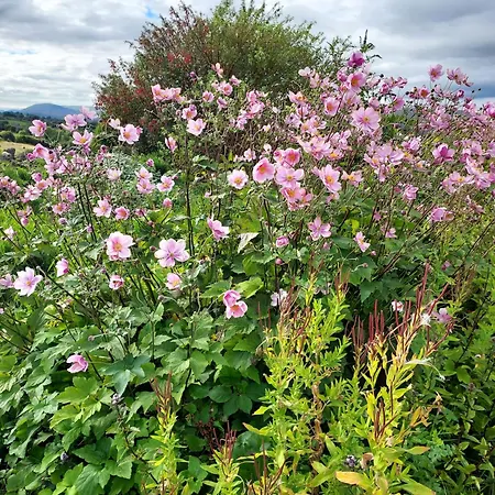 Tullaleagan 3* Oughterard