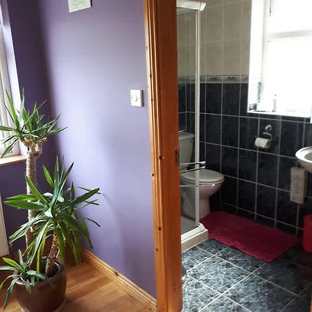 Tullaleagan Bed and Breakfast Oughterard