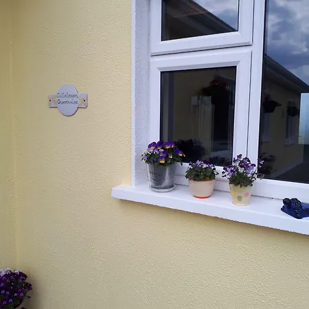 Tullaleagan Bed and Breakfast 3*