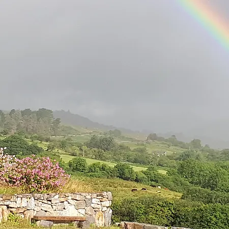 Tullaleagan Oughterard