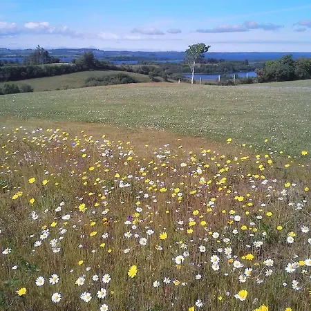 Bed and Breakfast Tullaleagan 3*