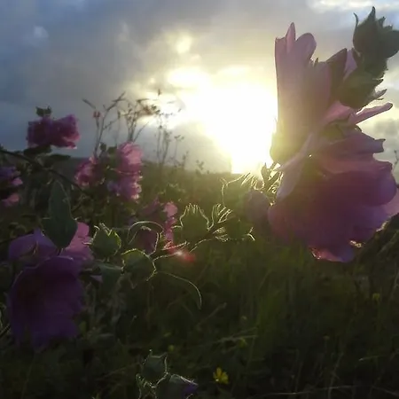 Nocleg ze śniadaniem Tullaleagan Oughterard