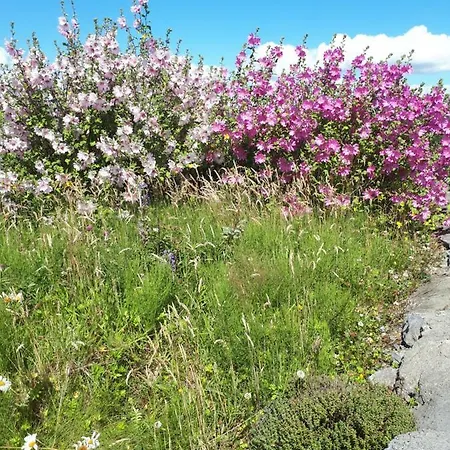 Tullaleagan Oughterard