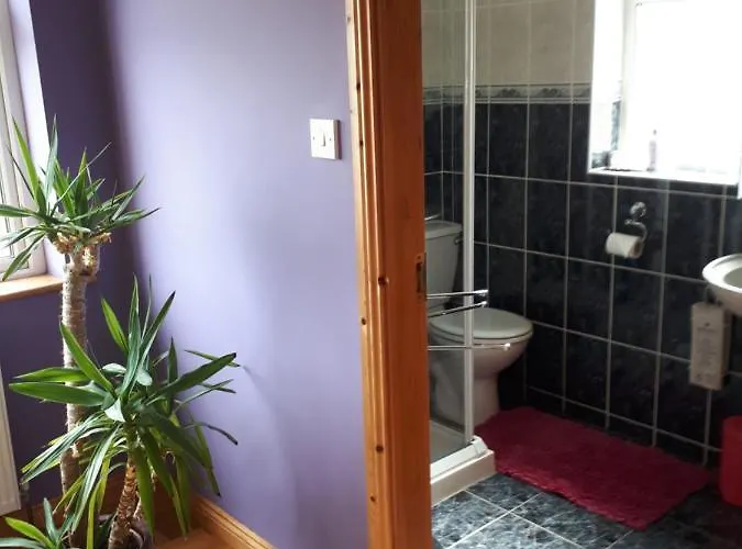 Tullaleagan Oughterard