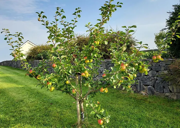 Bed & Breakfast Tullaleagan