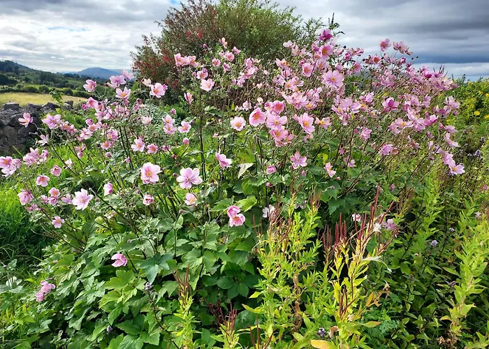 Tullaleagan 3* Oughterard