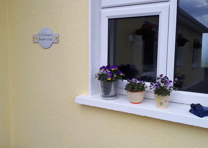 Tullaleagan Bed & Breakfast 3*