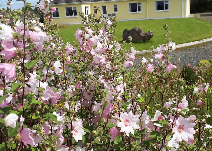 Tullaleagan Bed & Breakfast