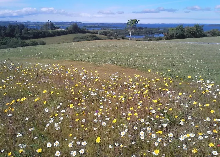 Bed & Breakfast Tullaleagan 3*