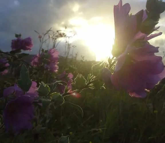 Bed & Breakfast Tullaleagan Oughterard